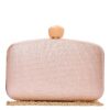 Τσάντα φάκελος clutch JH-21995 - Σαμπανιζέ