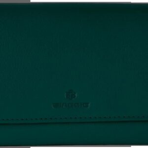 ORICO κουτί αποθήκευσης SGA01, 20.5x14x7.3cm, πράσινο