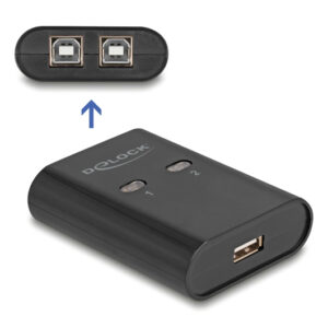 DELOCK card reader 91009 για SD & micro SD, USB-C, 5 Gbps, γκρι