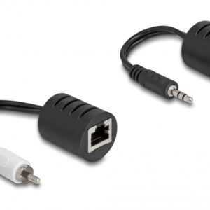 DELOCK καλώδιο USB Type-C σε 4x DC 5.5 x 2.1mm 86802, 1m, μαύρο