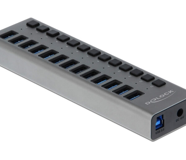DELOCK USB hub 63738 με διακόπτες, 13x θυρών, 5Gbps, γκρι