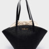 Camelia Black