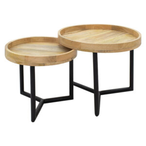 Καθρέπτης πόρτας PWD-0111 pakoworld polyresin-μαύρο 34x1.7x94εκ