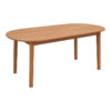 Τραπέζι Skyl pakoworld teak ξύλο σε φυσική απόχρωση 190x90x75εκ