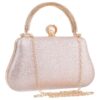 Τσάντα φάκελος clutch JH2239 - Ροζ
